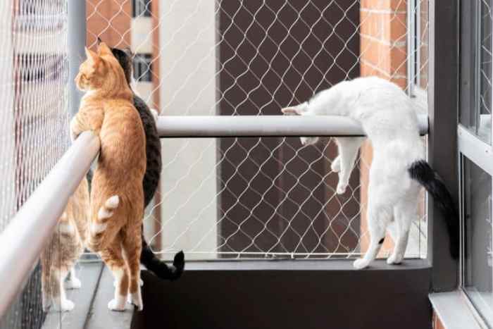 Ideen balkon für katzen gestalten